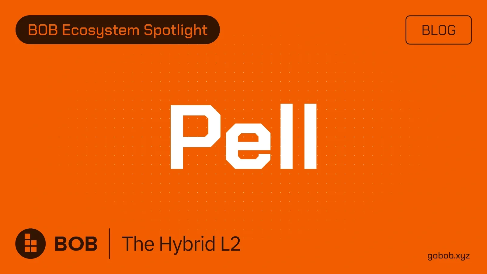 BOB Ecosystem Spotlight #02 — Pell