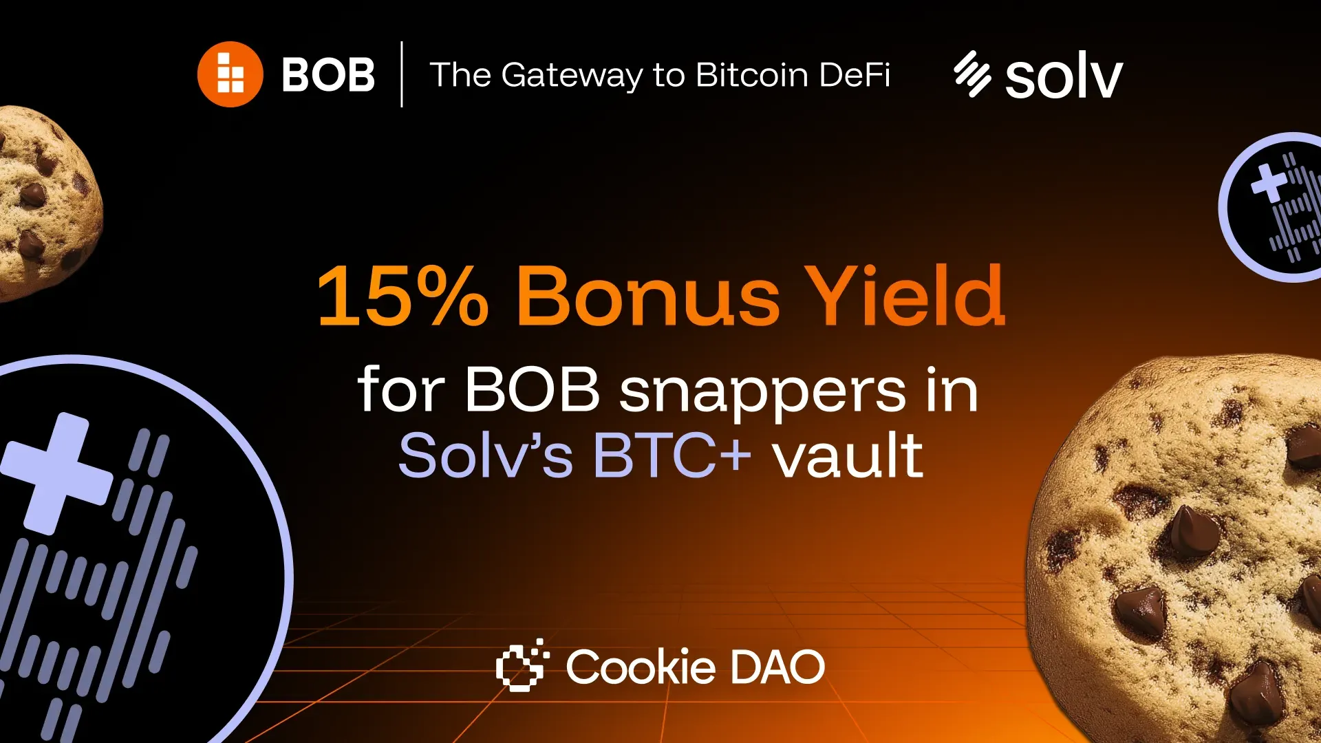 A special offer for BOB snappers from Solv Protocol