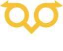 Owlto Finance logo